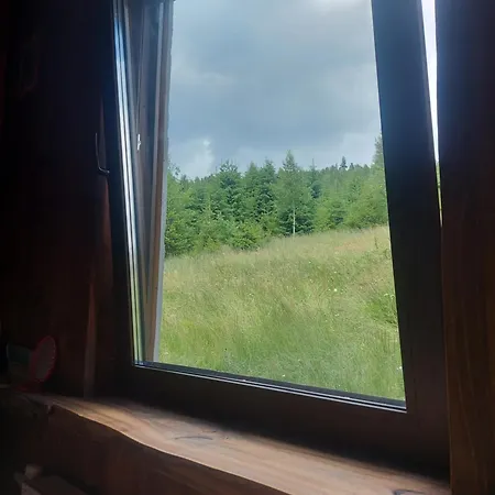 Апартаменты Oak House Поляница