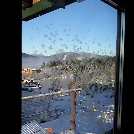 Oak House Lejlighed Palyanytsya