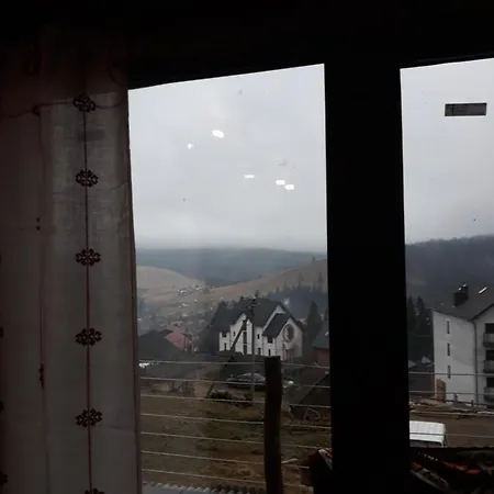 Oak House Palyanytsya