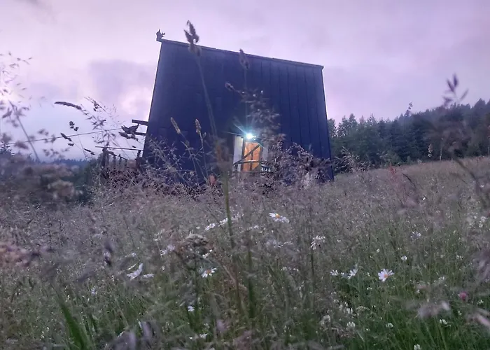 Oak House Palyanytsya
